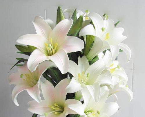 深入解读百合的花语（传递美好与祝福的象征）