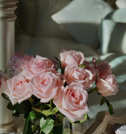 粉玫瑰花语大揭秘（一朵代表爱情和感恩的美丽花卉）