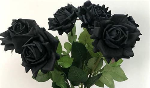 黑玫瑰的花语（探究黑玫瑰花语及其传承）