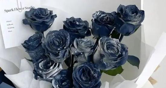 蓝玫瑰的意义与象征（探秘蓝玫瑰的背后故事）