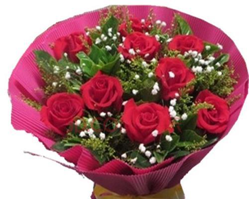 红玫瑰朵数的含义及象征意义（了解红玫瑰花语，透视爱情与浪漫）