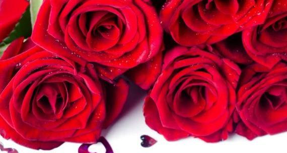 六朵玫瑰花的意义（传递爱和祝福的六朵玫瑰花）