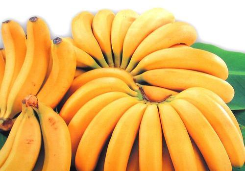 以香蕉代表什么生肖？（寓意深远的香蕉与十二生肖的契合程度有多高？）