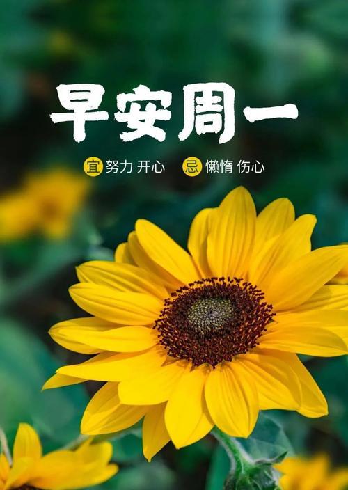 坚毅不拔，勇往直前——象征努力奋斗的植物（努力拼搏，永不放弃）