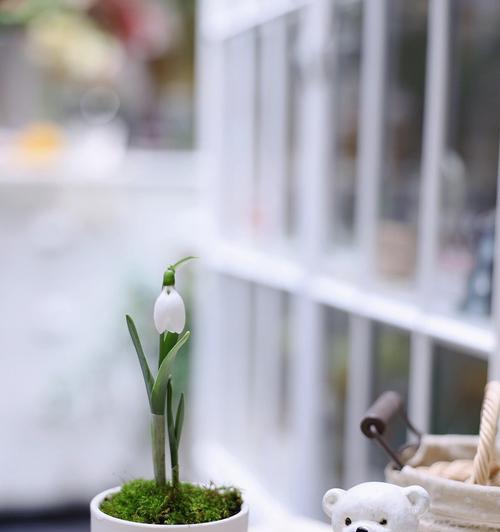 雪滴花（揭秘雪滴花的神秘花语和寓意，探寻传说背后的故事）