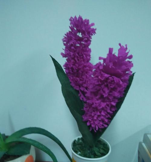 淡紫色风信子花语（祝福与爱意溢于言表的花束）