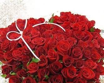 用16朵玫瑰诠释浪漫情愫（玫瑰花语传递的爱意与祝福）