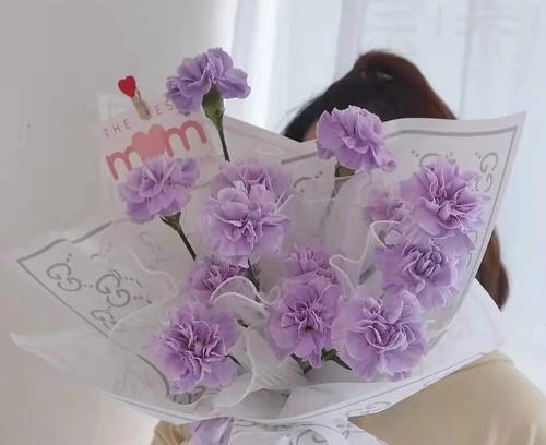紫色康乃馨花语与寓意——传递祝福与美好的象征（紫色康乃馨的花语与寓意让爱与喜悦永远绽放）