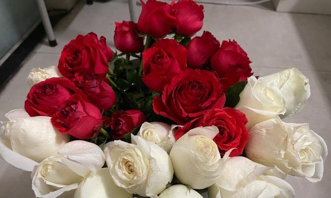 如何养护收到的玫瑰花束（让花朵保持鲜艳美丽的窍门与技巧）