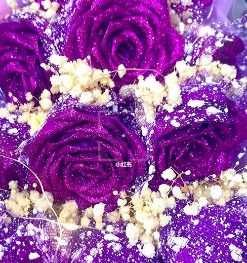 紫色玫瑰的意义与象征（解析紫色玫瑰的深层含义，探索其在文化与心理上的影响力）