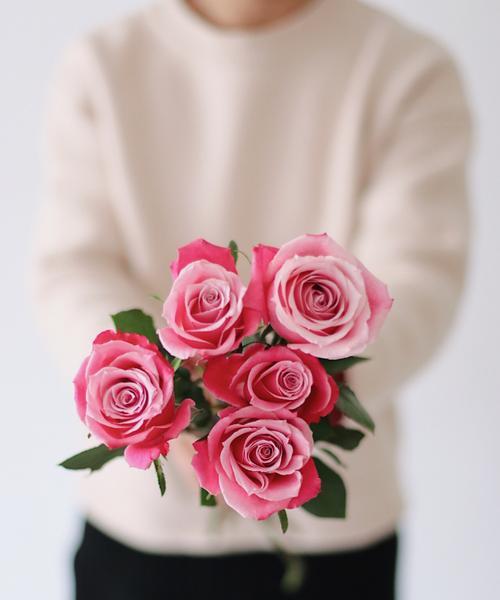 粉色玫瑰的花语及其意义（探索粉色玫瑰的浪漫与温柔）