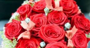 99朵红玫瑰的花语及其意义（探索红玫瑰的浪漫花语，传递爱意之意义）
