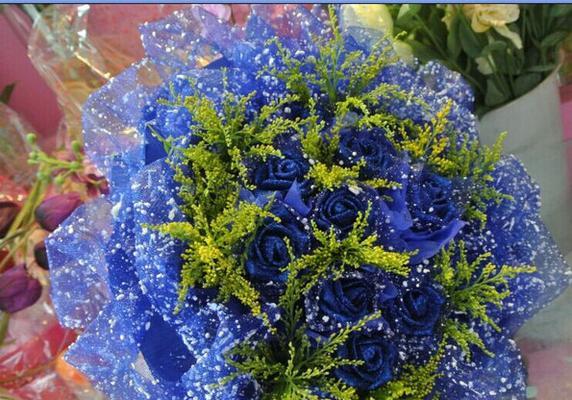 蓝色满天星的花语（美丽神秘的蓝色花朵，蕴藏着怎样的寓意？）