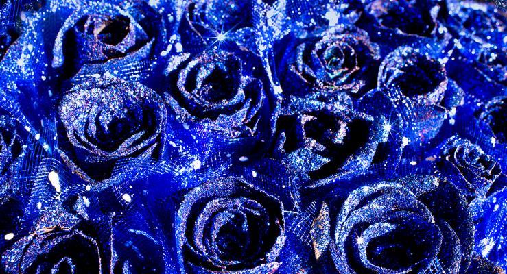 蓝色妖姬玫瑰的花语（探寻蓝色妖姬玫瑰的神秘意义）