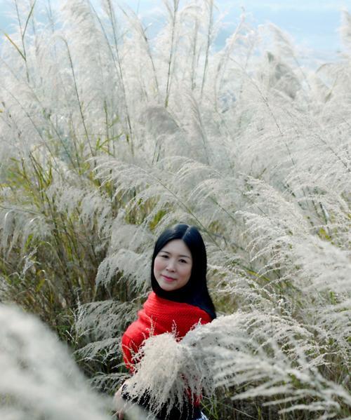 芦苇的花语——坚韧不拔的生命之花（用芦苇的花语感悟生命的力量）