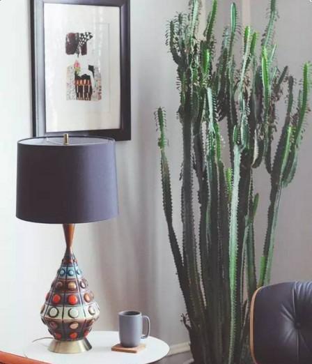 客厅装饰，选择绿植增添生气！（打造舒适的空间，选择合适的绿植是关键！）