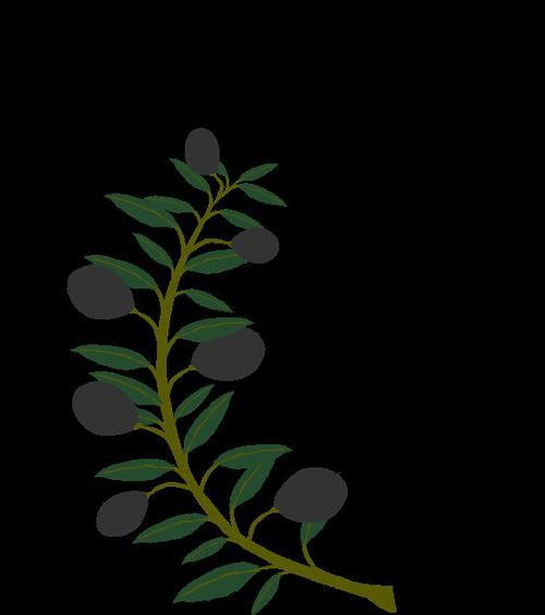 橄榄枝的象征意义（橄榄枝在历史与文化中的重要地位和象征意义）