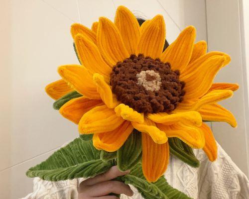 向日葵的花语与意义（送给你几朵向日葵，传递着什么信息？）