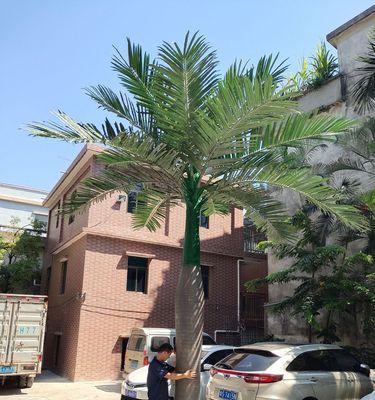 探秘大王椰子树的神奇之处（热带果树的代表，蕴含着许多美好的特点）