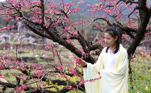 桃花之美（桃花）