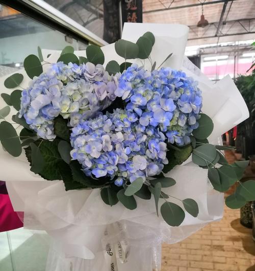 绣球花的花语与意义（探秘绣球花的花语，了解其深刻寓意）