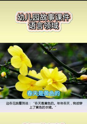 春季迎春花盛开，多彩花海绚烂绽放（探寻迎春花的花色奥秘）