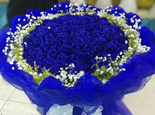蓝玫瑰的寓意与意义（探究蓝色花朵中的美丽与神秘）