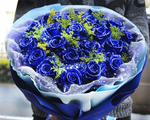 蓝玫瑰的寓意与意义（探究蓝色花朵中的美丽与神秘）