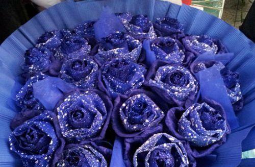 紫玫瑰花语（探索紫玫瑰花所代表的意义和情感）