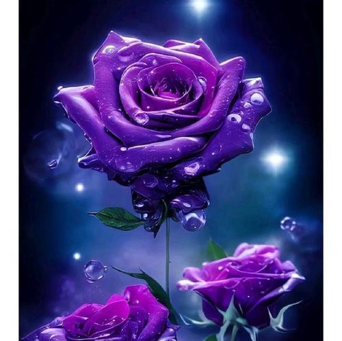 紫玫瑰花语的意义与寓意（探寻紫玫瑰背后的深层含义）