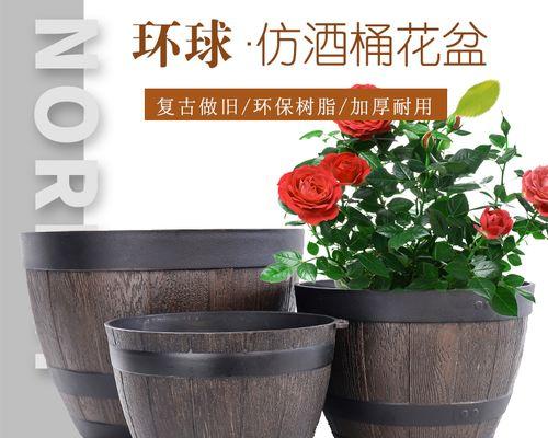 从大花盆到花海世界——打造独具特色的家庭花园（以大花盆为主，多种花卉相互搭配，缔造花海仙境）