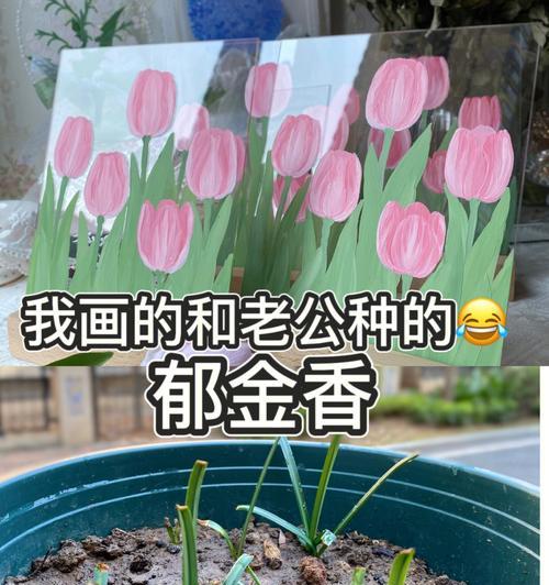 如何种植和浇水郁金香？（详细介绍郁金香的种植方法和浇水技巧）