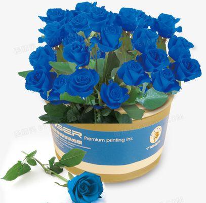 一朵蓝玫瑰代表什么？（探寻蓝玫瑰的象征意义和历史来源）