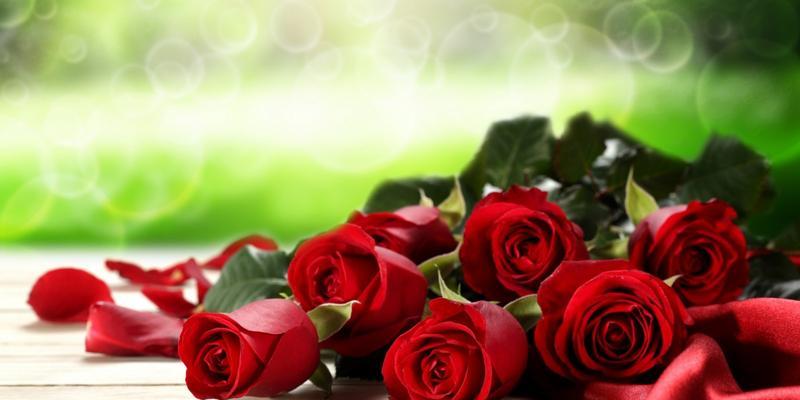 四朵玫瑰花的花语传递的深刻含义（探索四朵玫瑰花的秘密——一朵朵真挚的情感之源）