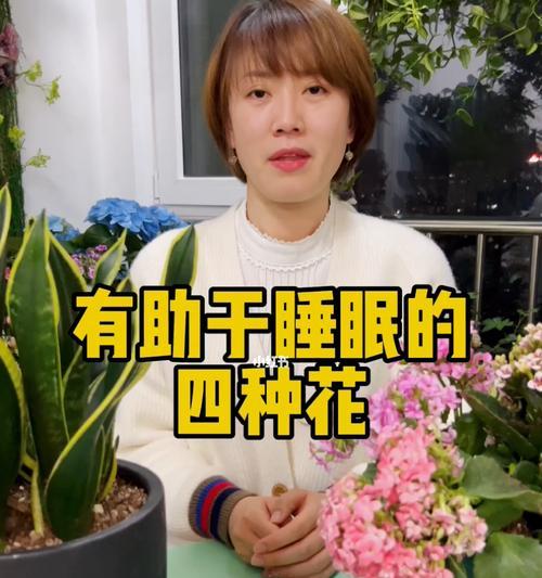 放哪些花能帮助你睡得更香？（揭秘8种卧室花草的神奇功效）