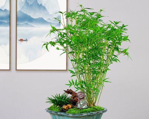 凤尾竹的养殖方法（打造绿意盎然的凤尾竹家园）