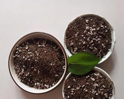 沙质土壤是什么样子的（种植沙质土壤的方法）