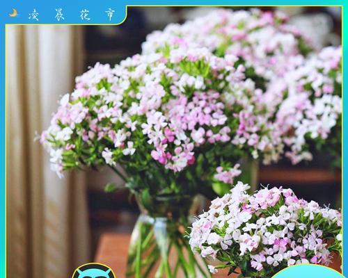 相思梅花语之爱的期盼（相思梅花语所传达的爱情寓意与心愿）