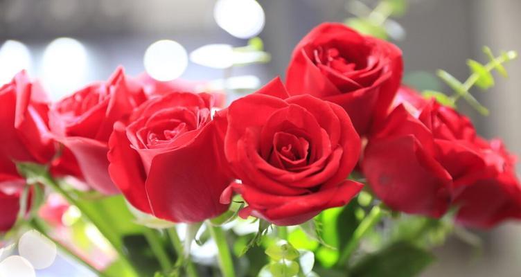 12朵玫瑰花的花语（12朵玫瑰花传递出的深情和承诺）