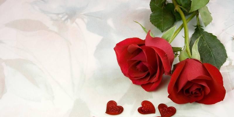 12朵玫瑰花的花语（12朵玫瑰花传递出的深情和承诺）