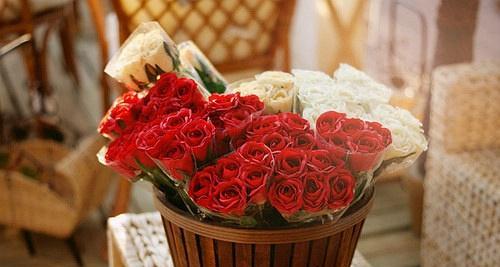 18朵玫瑰花的寓意与花语（浪漫爱情的象征）