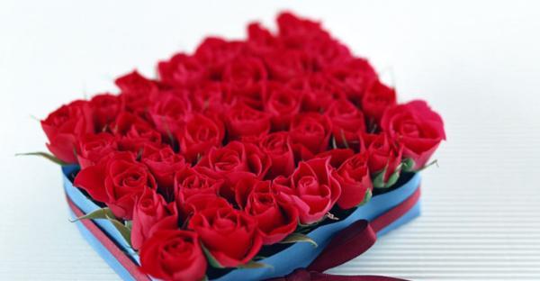 18朵玫瑰的花语（玫瑰的花语和寓意）