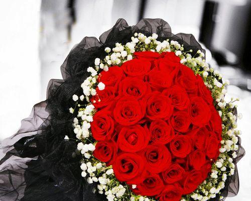 19朵红玫瑰的含义及象征（传递爱情与浪漫的花语）
