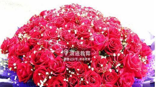 33朵红玫瑰的花语（用花语诠释爱情）