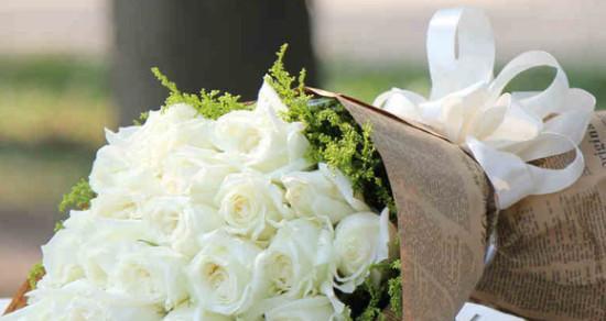 白玫瑰的寓意与象征——从9朵白玫瑰说起（探寻白玫瑰的深刻内涵）