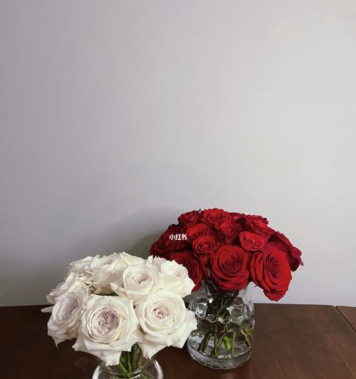 白玫瑰与红玫瑰的象征意义（探究花朵色彩对情感的影响力）
