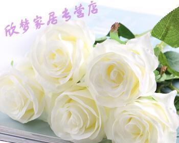 白玫瑰花的象征意义及文化传承（揭开白玫瑰花背后的寓意与传说）