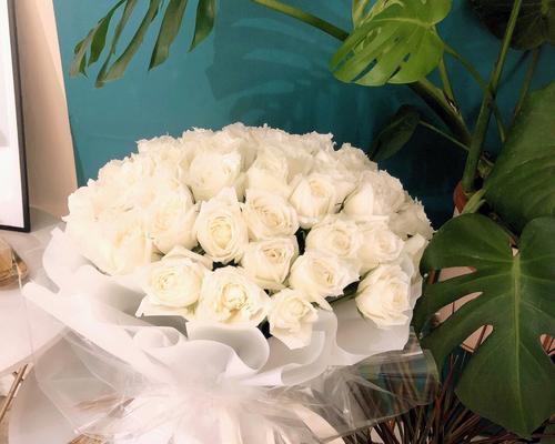 白玫瑰花的花语及象征意义（探寻白玫瑰花的诗意与情感）