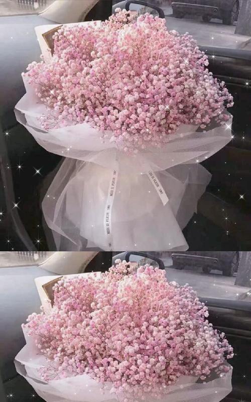 满天星花语（白色满天星的美丽花语及意义解读）