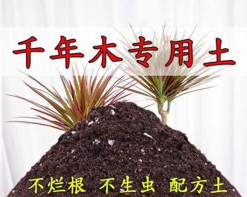 养花营养土的配制方法（优化土壤）